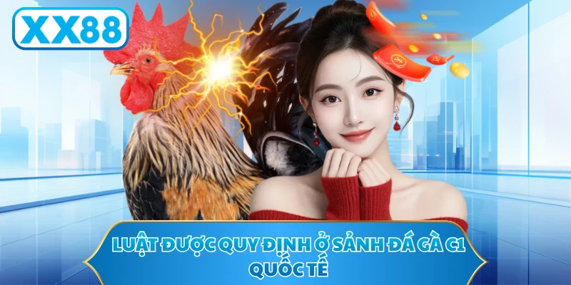 Luật được quy định ở sảnh đá gà c1 quốc tế